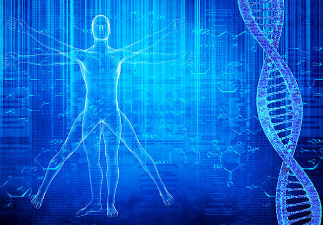 Human Physiology: The Science of Life in Action