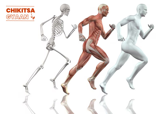 Human Physiology: The Science of Life in Action