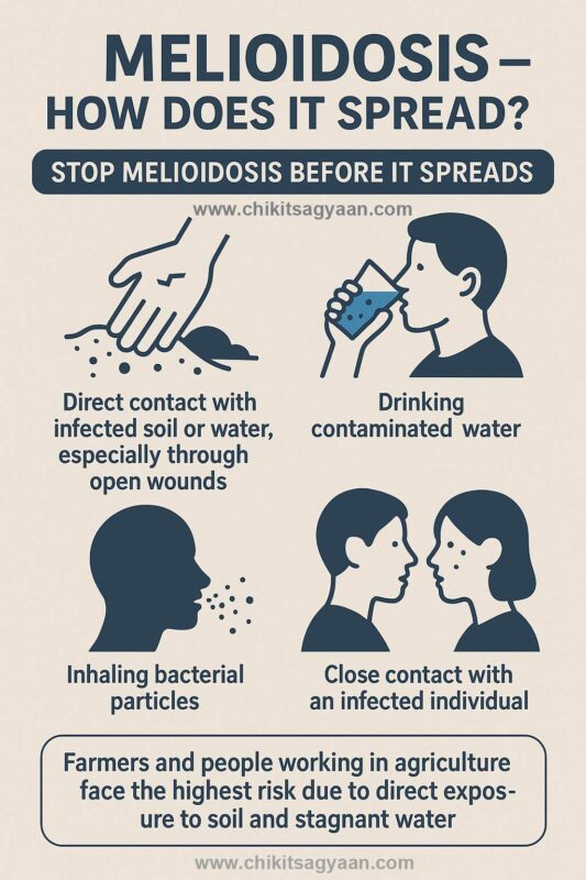 Melioidosis - How Does it Spread?