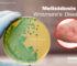 Melioidosis – The Emerging Threat in India