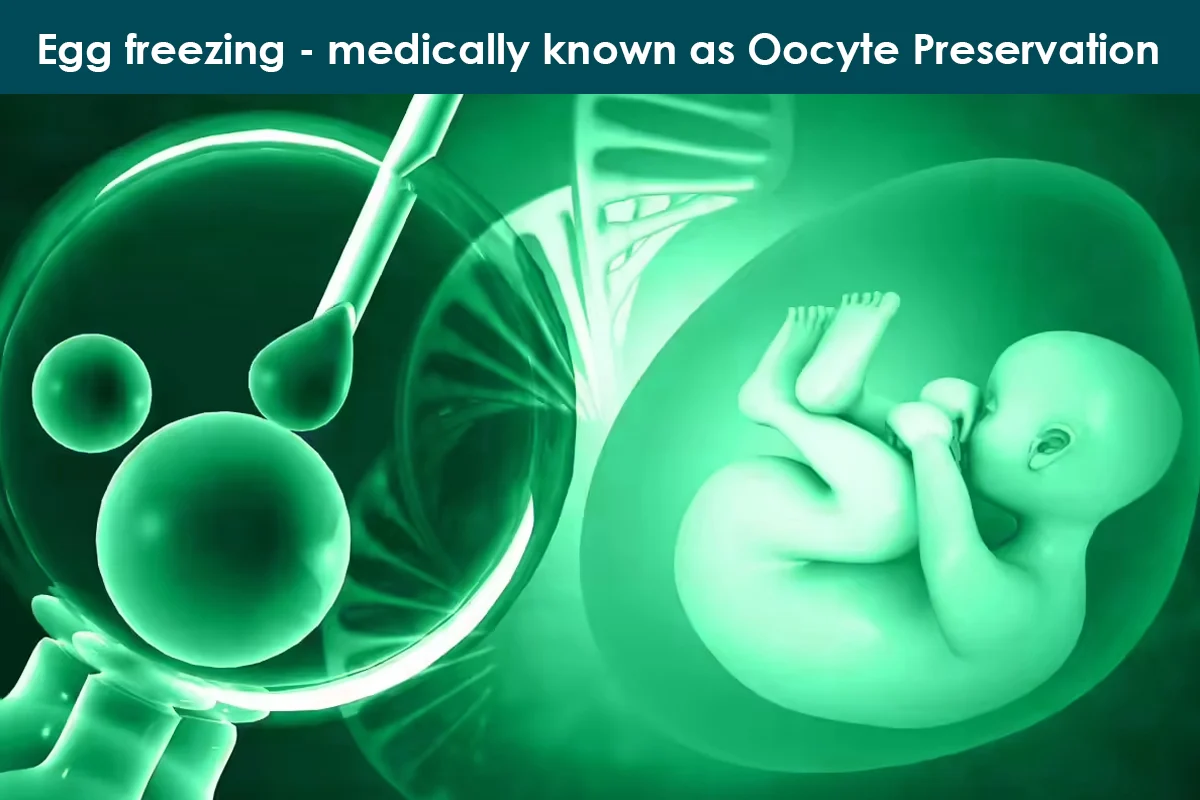 Egg Freezing – A Modern Choice for Future Motherhood