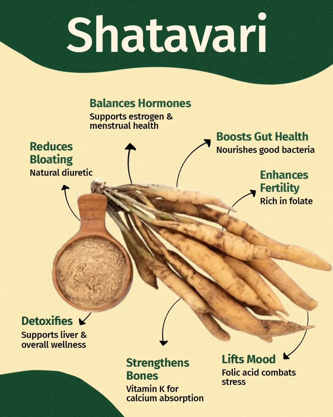 Shatavari: The Queen of Herbs & the Ultimate Women’s Tonic