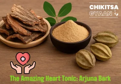 The Amazing Heart Tonic: Arjuna Bark