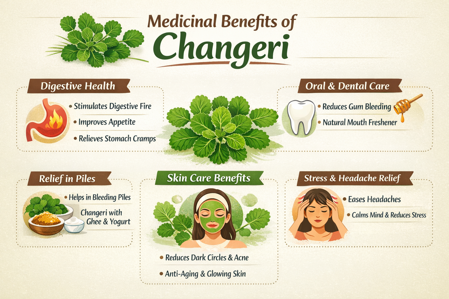 Medicinal Benefits of Changeri