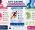 Life-Saving Hormones: How Estrogen, Adrenaline & Insulin Protect Your Body